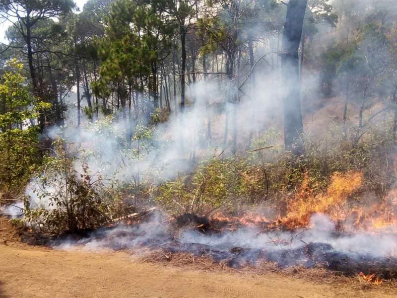 Valle de Bravo suspende clases en todos los niveles tras fuerte incendio forestal