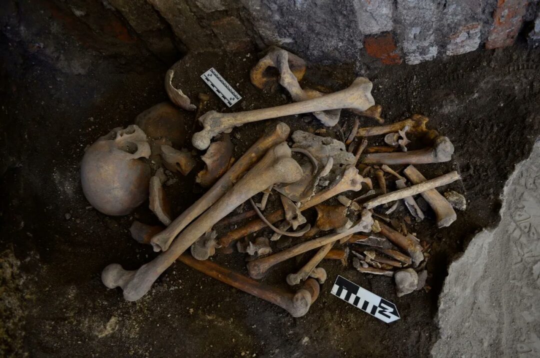 Hallan, en Puebla, entierros humanos asociados a la intervención francesa