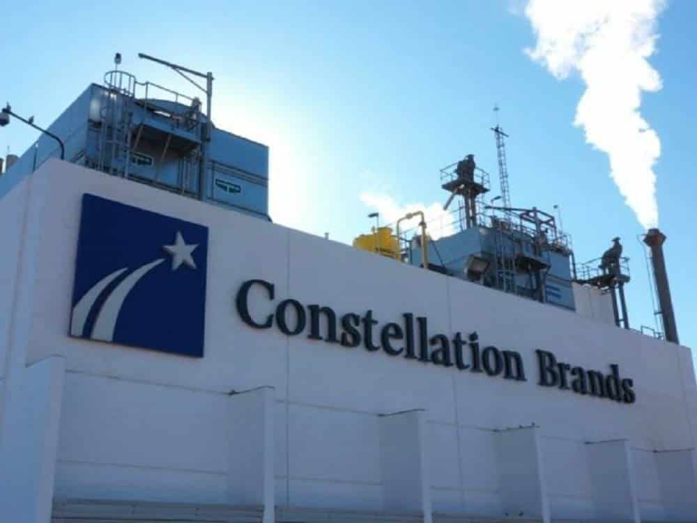 Constellation Brands invertirá mil 300 mdd en planta en Veracruz