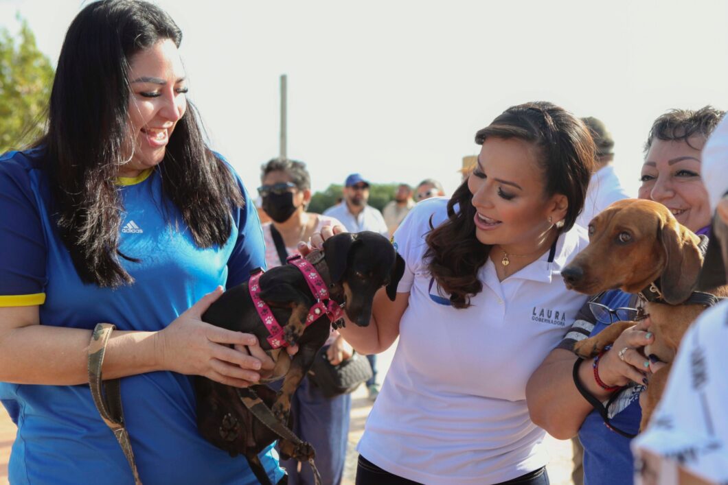 Laura Fernández busca hacer de Q.Roo en un estado 'pet friendly'