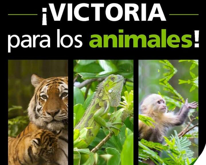 Quintana Roo prohíbe lucrar con animales silvestres en vía pública