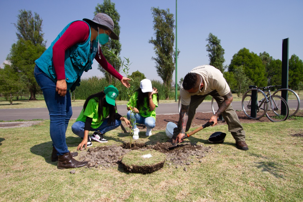 Reforestación Parque Ecológico Xochimilco