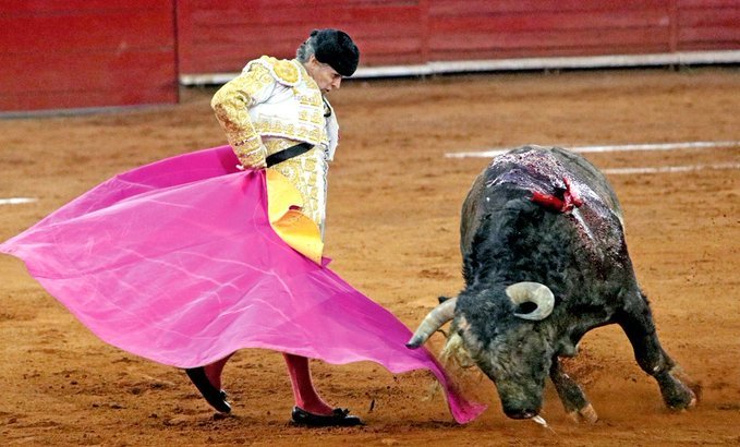 Juez suspende provisionalmente las corridas de toros en la Plaza México