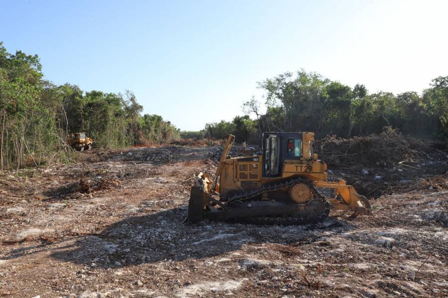 Tramo 5 del Tren Maya causará daños “severos” y “críticos”, advierte la Manifestación de Impacto Ambiental