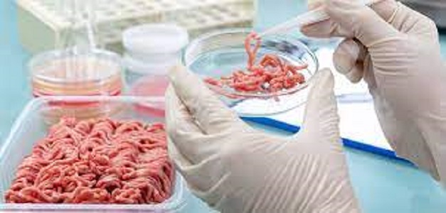 Avanzamos hacia una industria alimentaria de ciencia ficción: carnes criadas artificialmente en laboratorio