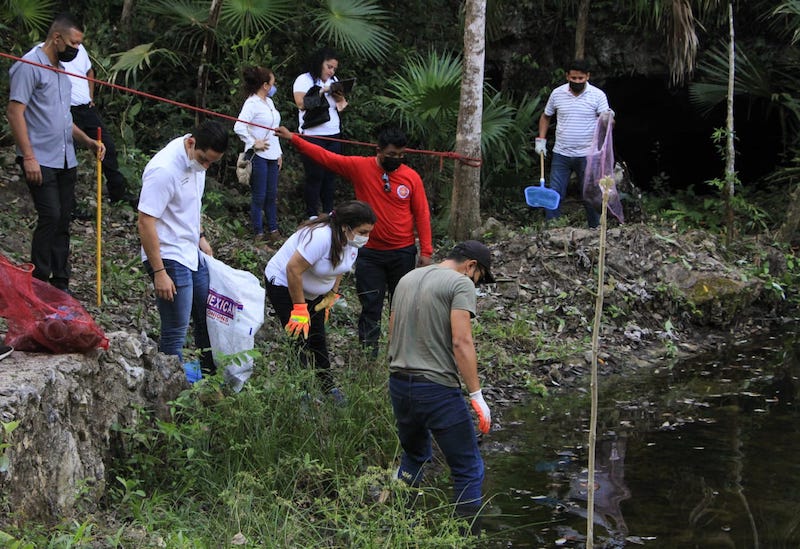 Realiza gobierno de Benito Juárez conservación permanente de cenotes urbanos