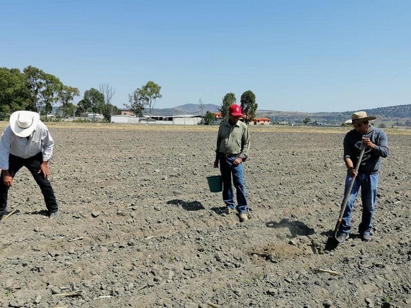 Cambio climático y falta de fertilizantes genera preocupación entre agricultores para producir alimentos: Chapingo