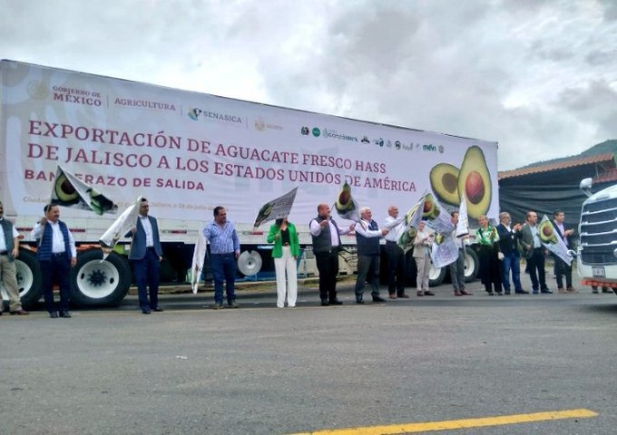 Jalisco inicia exportación de aguacate a Estados Unidos
