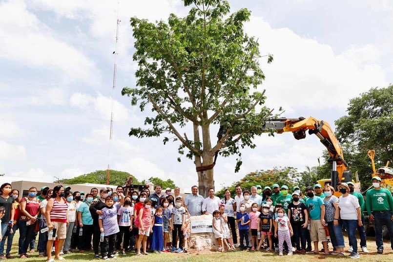 Mérida concluye la Cruzada Forestal 2022; se plantaron 15 mil árboles plantados este año