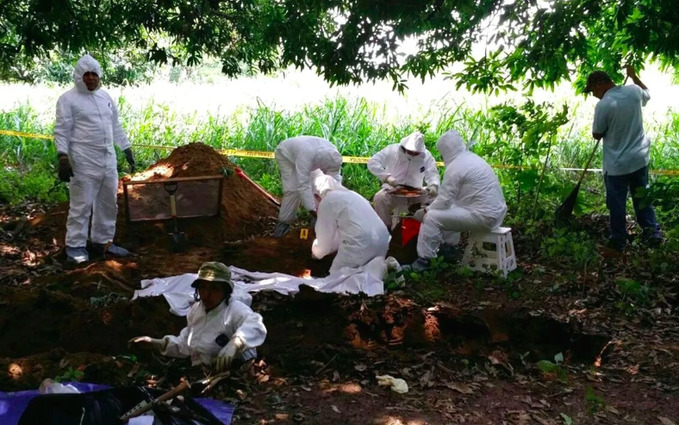 Hallan 11 cuerpos en huerta de aguacate en Uruapan, Michoacán