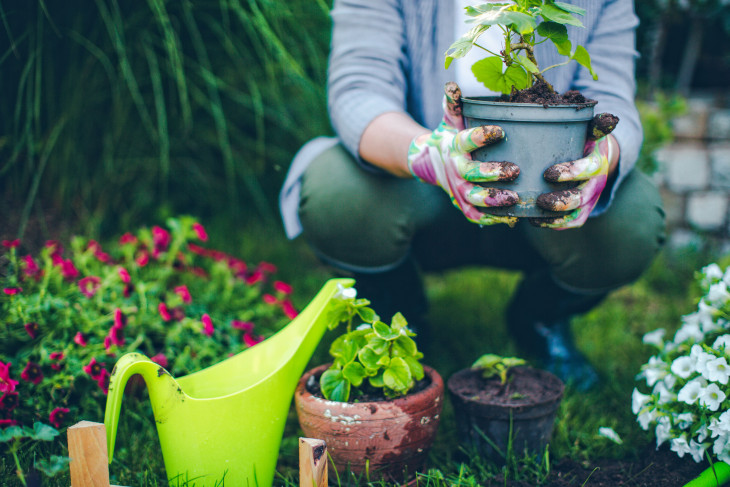 SEDEMA convoca al primer concurso “Haciendo Jardinería Ambiental en mi Ciudad”