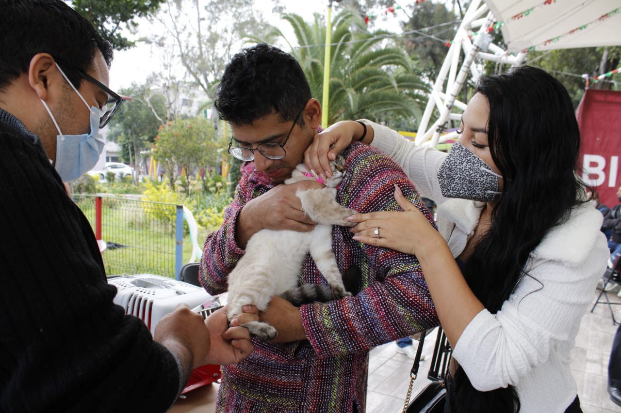 Inicia jornada nacional de vacunación antirrábica canina y felina