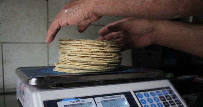 Maseca se compromete a no aumentar el precio de la harina de maíz hasta febrero de 2023- AMLO