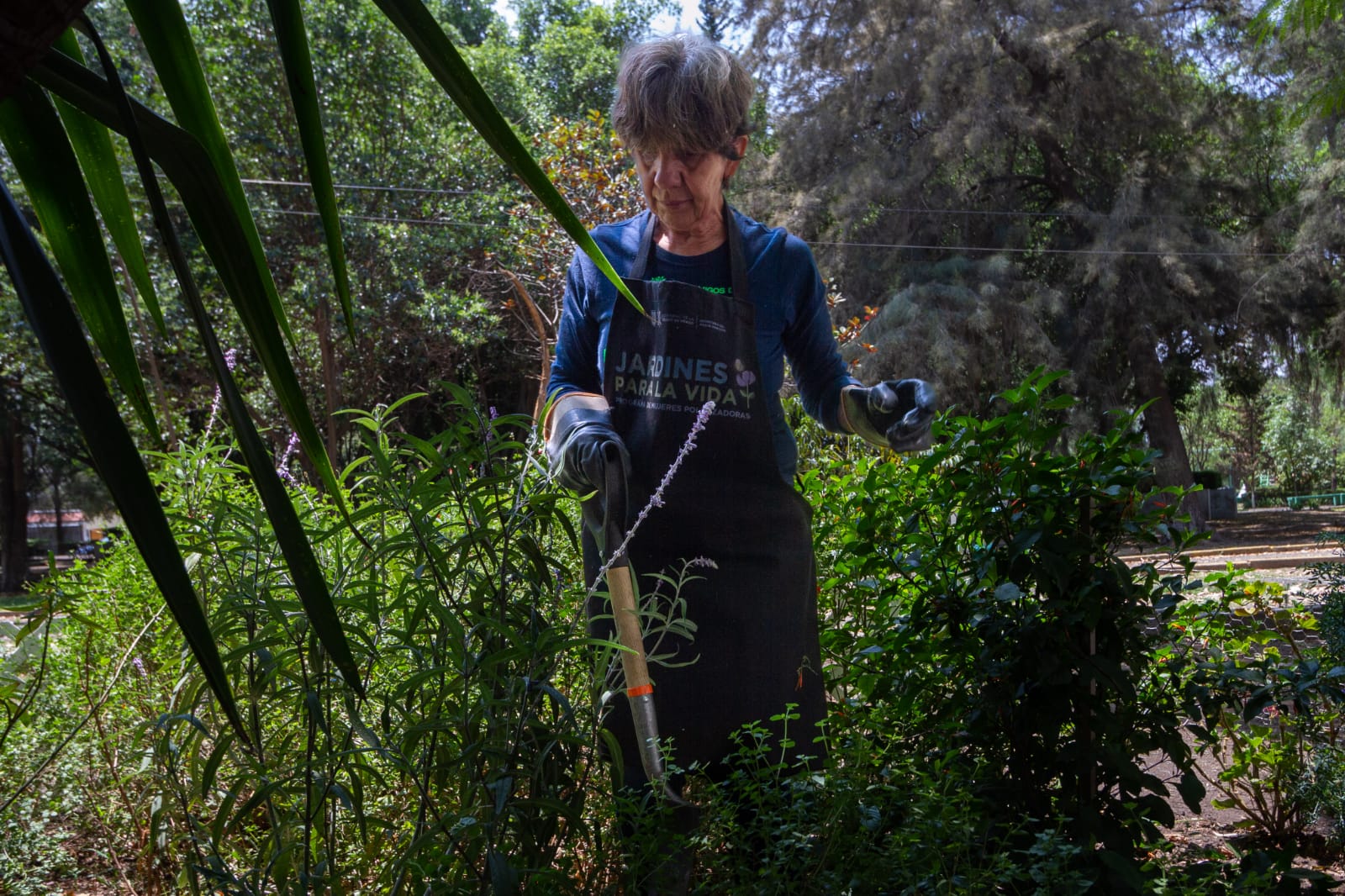 SEDEMA capacita a 779 personas en jardinería ambiental