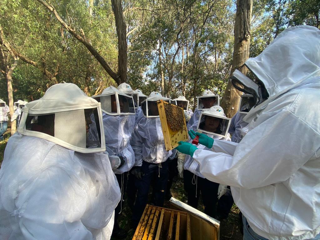 Heroico cuerpo de bomberos recibe capacitación para rescatar panales de abejas