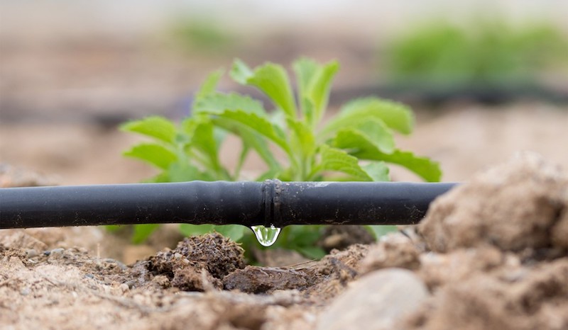 Tecnificar las prácticas agrícolas, el camino para el cuidado del suelo y los cultivos