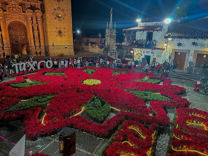 Taxco tiene la flor de nochebuena más grande del mundo