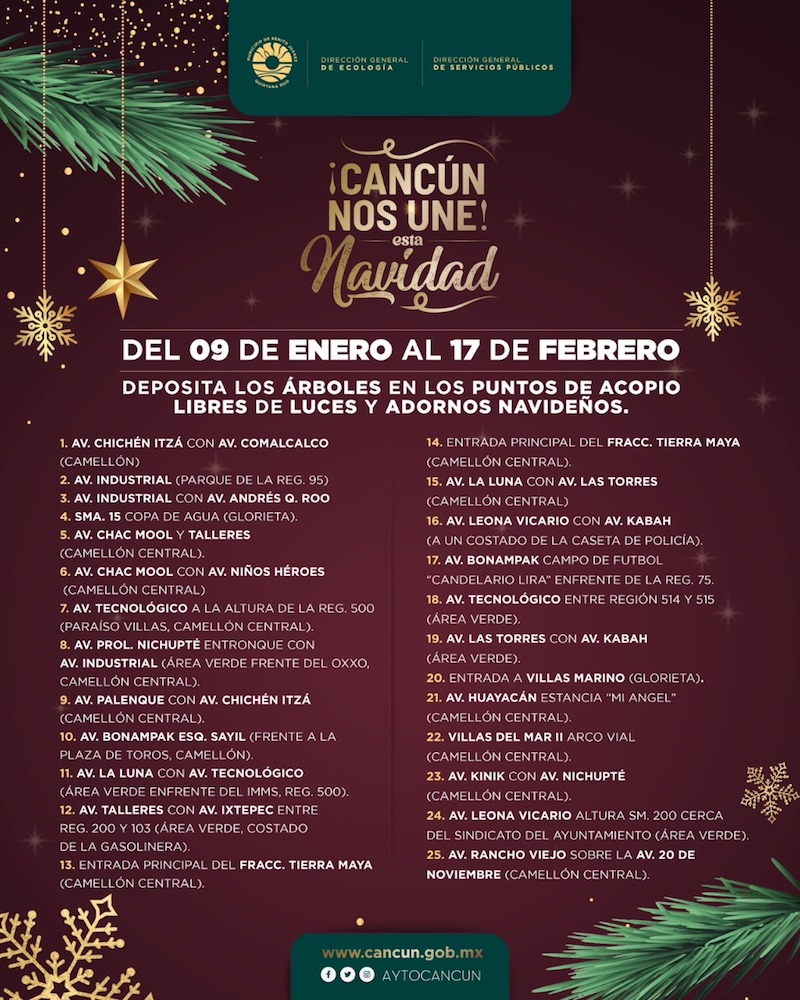 Alista gobierno municipal campaña “Acopio de Árboles de Navidad Temporada 2023”