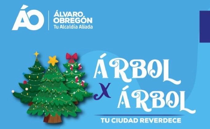 Alcaldía Álvaro Obregón invita a reciclar los árboles de navidad