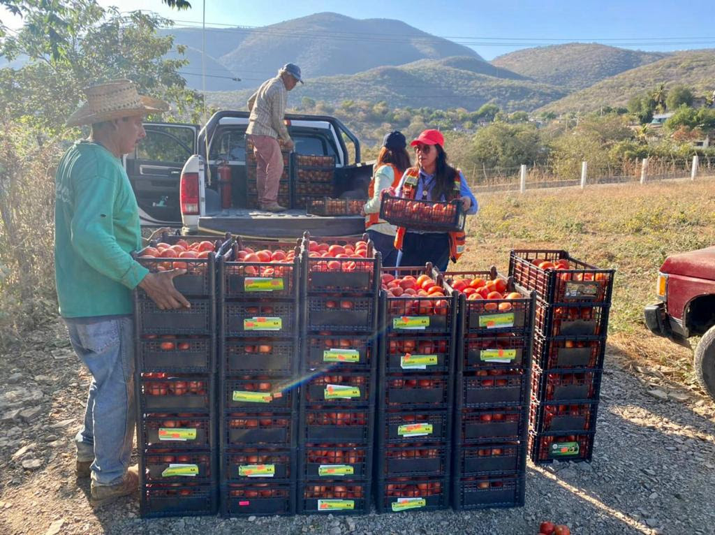 Minera desarrolla la agricultura y acuacultura tecnificada en Guerrero