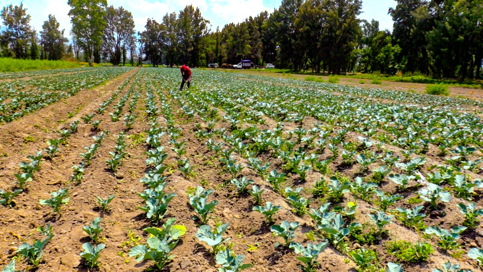 Programa Altépetl Bienestar beneficiará a más de 14 mil habitantes de suelo de conservación