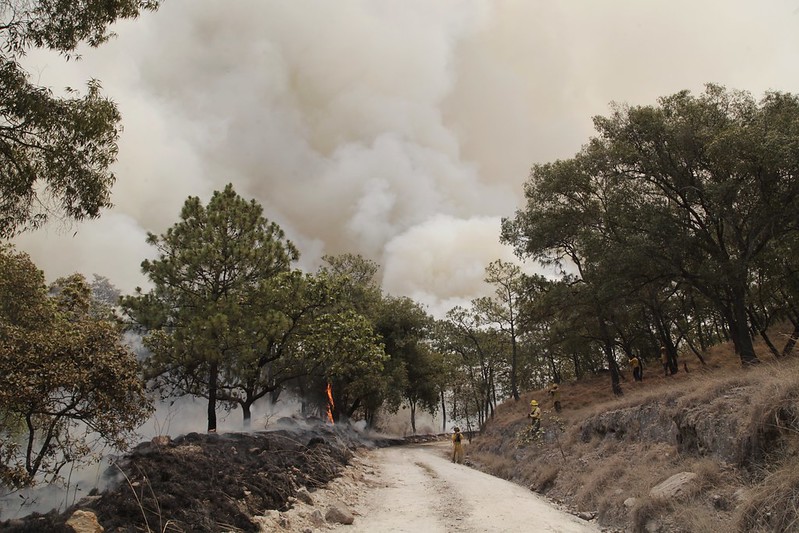 Jalisco prevé un año complicado en materia de incendios forestales