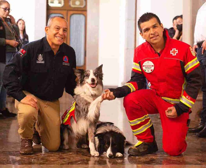 Querétaro tendrá escuela de perros rescatistas