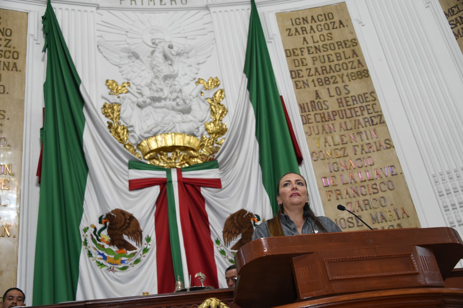 Congreso local solicita a alcaldías garantizar espacios para mascotas