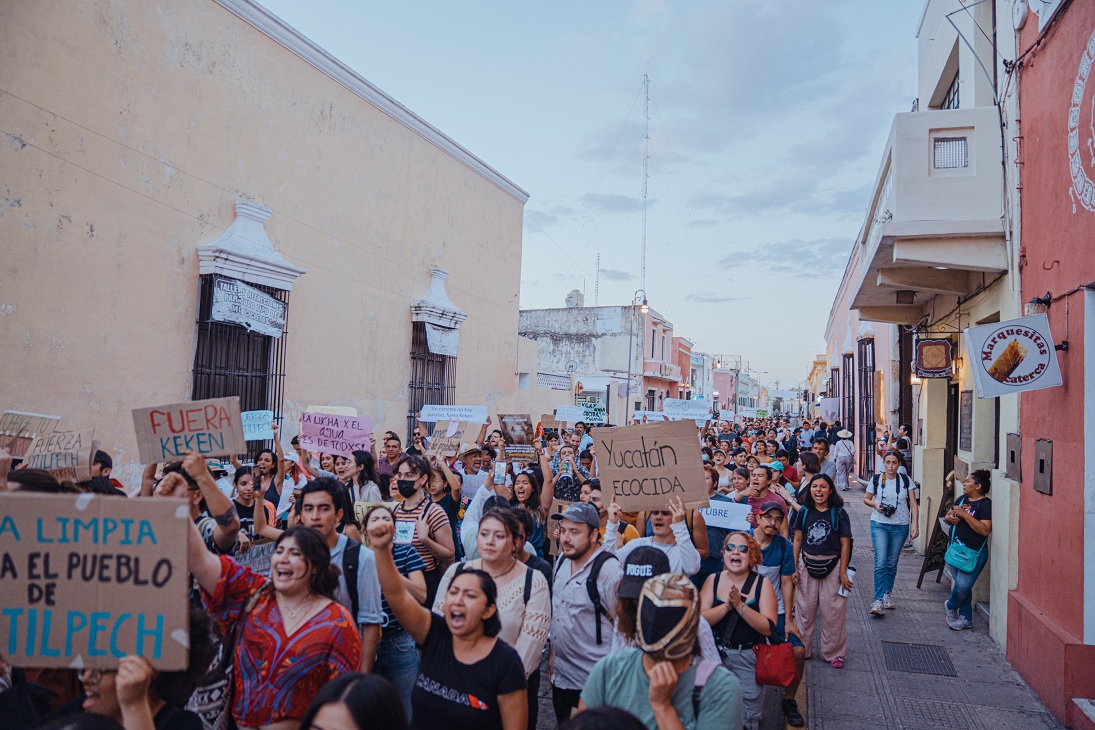 Detienen a cuatro durante protesta en contra de granjas porcícolas en Yucatán