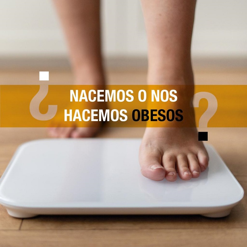 ¿Nacemos o nos hacemos obesos?: Lab DO