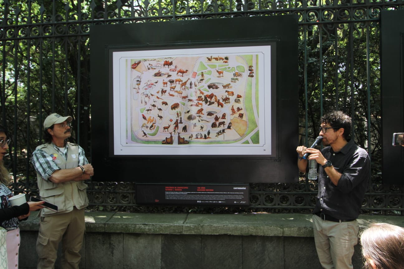 Se exhibe en las rejas de Chapultepec 100 años del Zoológico de Chapultepec