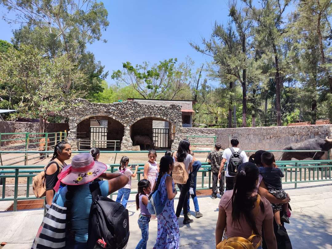 Miles de visitantes acuden al zoológico “Zoochilpan” de Chilpancingo, durante Semana Santa