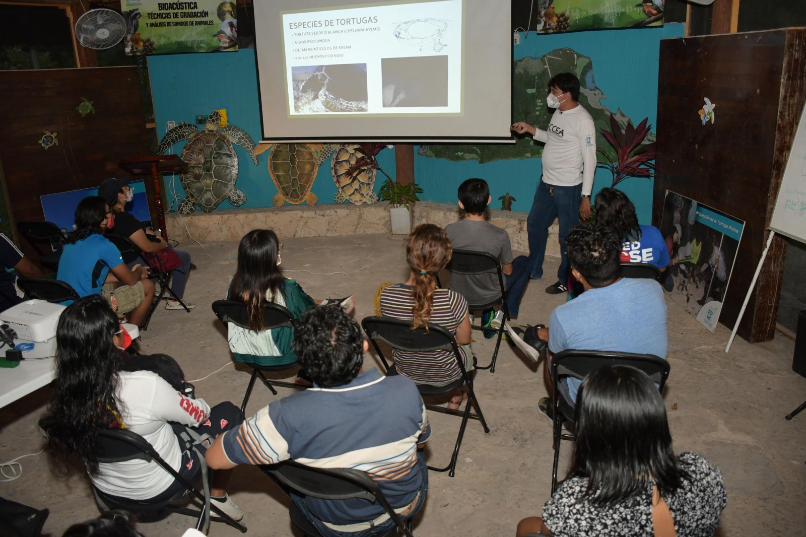 Cozumel impartirá taller de protección a las tortugas marinas