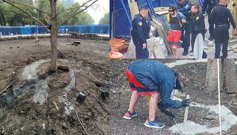 Lamenta grupo de expertos daños provocados al ahuehuete de la Glorieta de Reforma