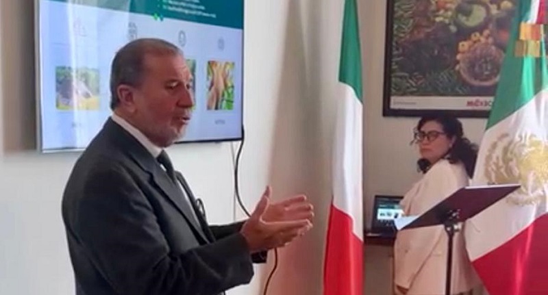 Tour operadores y agentes de viajes del norte de Italia levantan la mano para visitar México