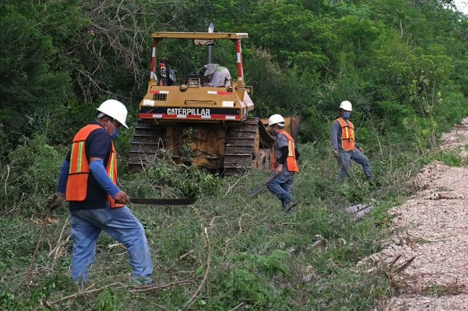 Otorgan suspensión definitiva para frenar desmonte y tala en tramos del Tren Maya