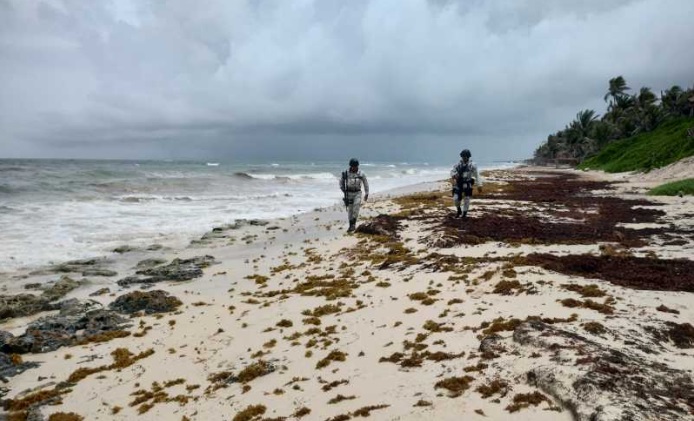 Guardia Nacional asegura paquetes de droga en Tulum