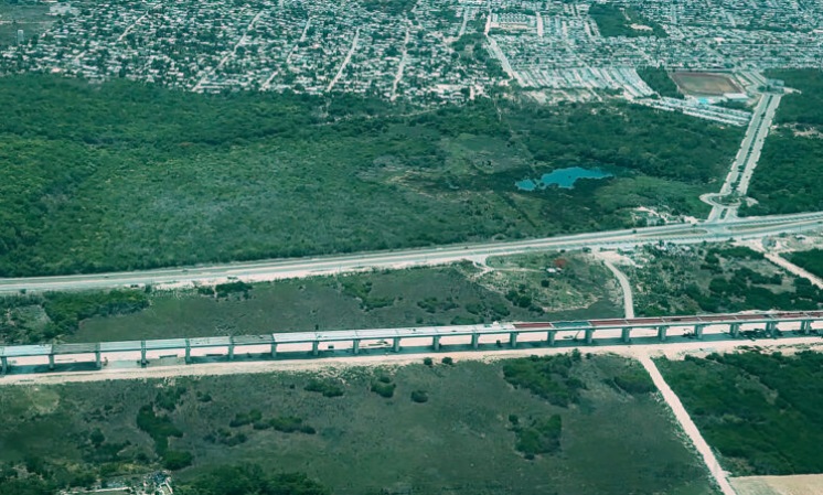 Constata AMLO construcción de pasos de fauna y obras complementarias del Tren Maya