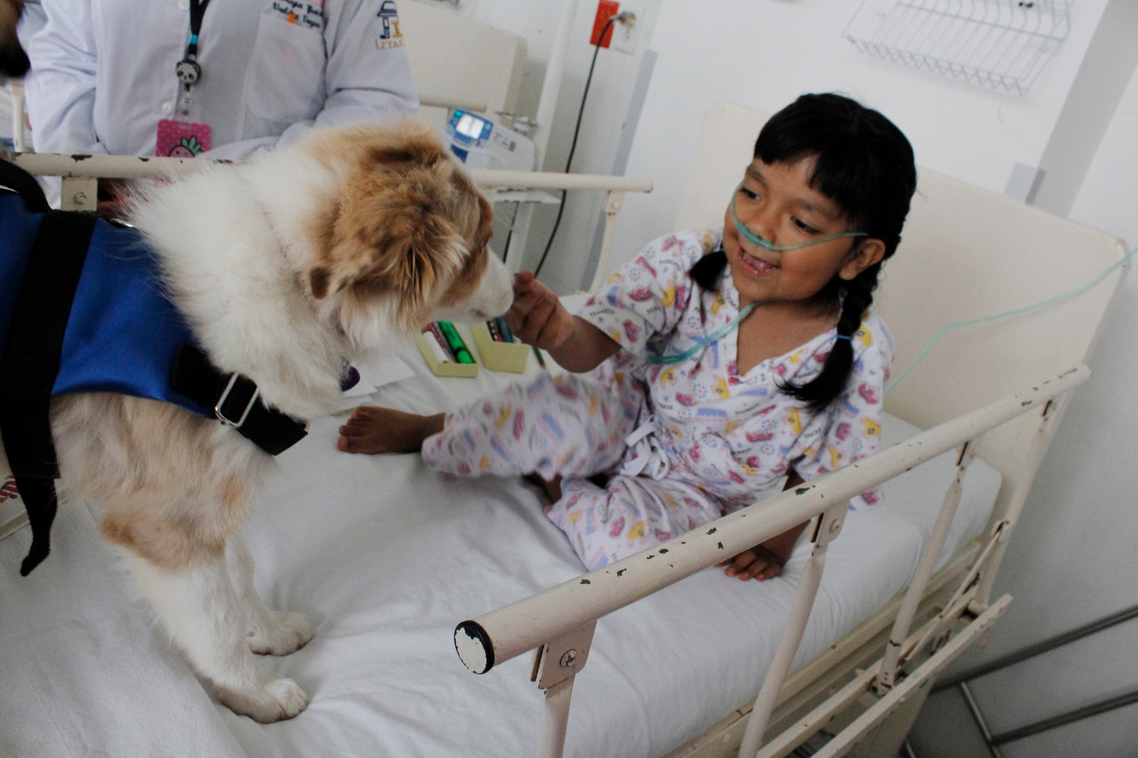 Brinda SEDESA terapias asistidas con perros en el Hospital Pediátrico Coyoacán