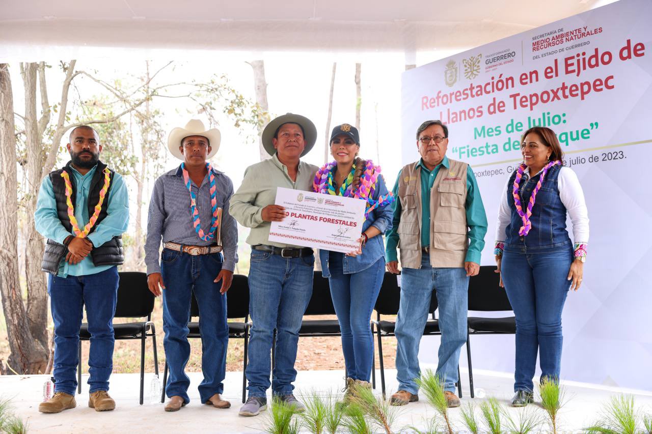 Encabeza Evelyn Salgado actividad de reforestación en Llanos de Tepoxtepec