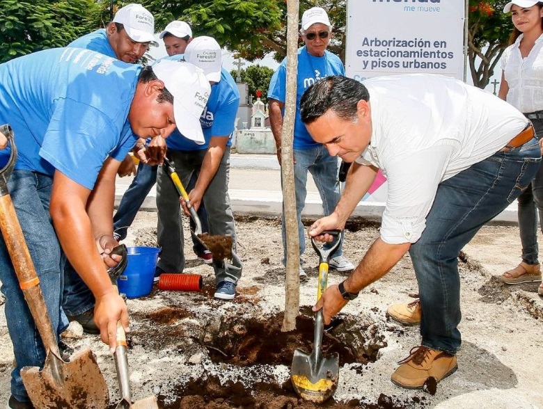 Logran meta de plantar 30 mil árboles en Mérida