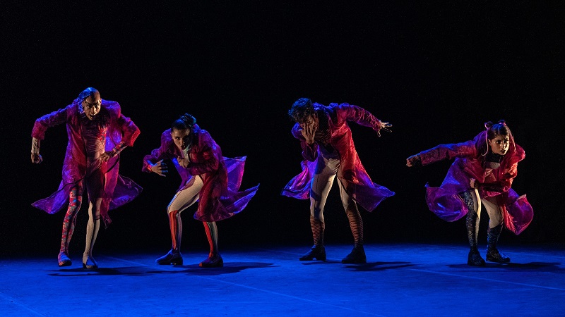 La Coordinación Nacional de Danza reúne coreografías para todo público con la temporada Consagrados