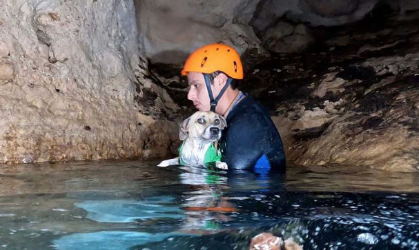 Buzos rescatan a “Shakira”, una perrita que llevaba días atrapada en un cenote de Yucatán