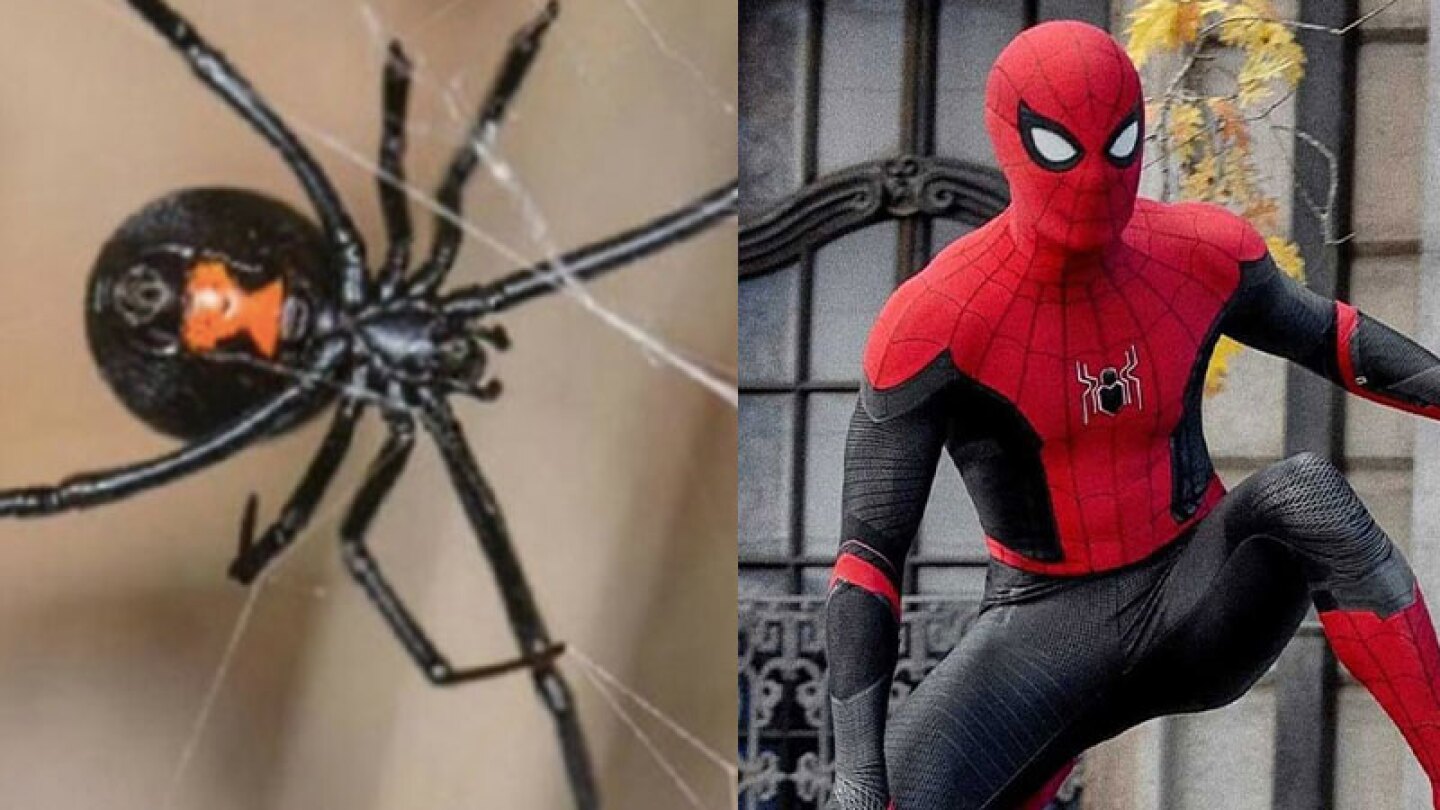 Viuda negra Spider-Man