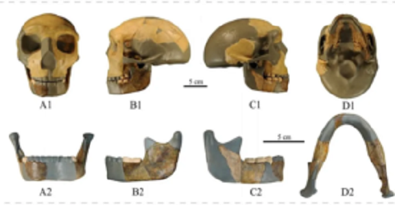 Descubren un cráneo de aproximadamente 300 mil años de antigüedad