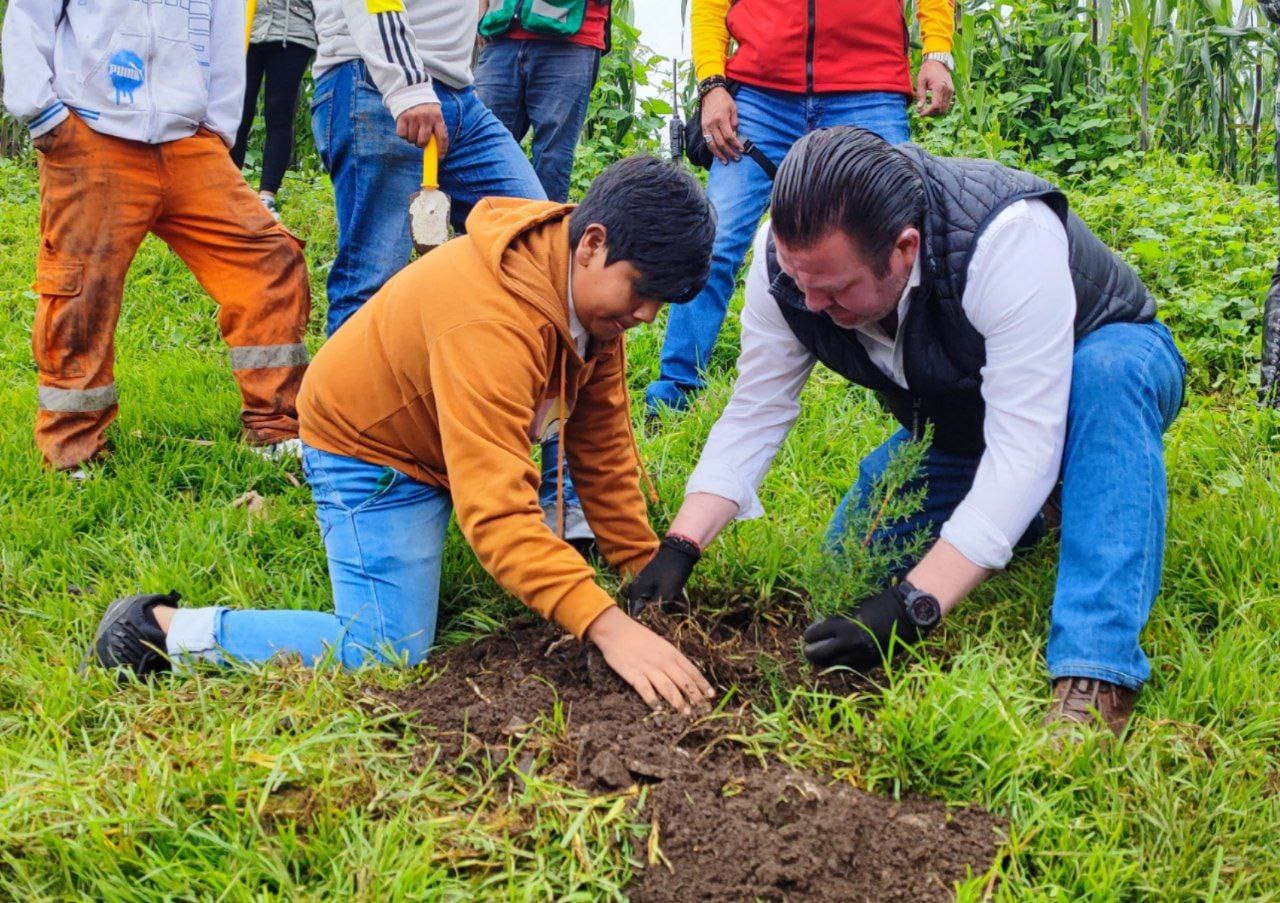 Reforesta Alcaldía Magdalena Contreras zonas urbanas con cinco mil árboles