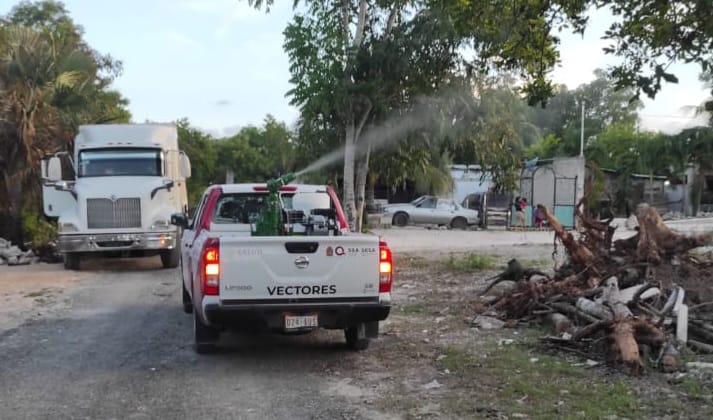 Niño de seis años muere por dengue en Quintana Roo