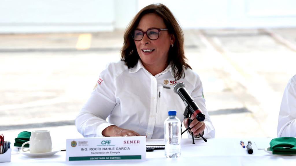 Rocío Nahle se registra como aspirante a coordinar la 4T en Veracruz