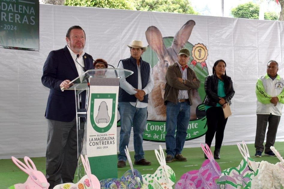 Se inaugura el 8vo Campeonato del Conejo Gigante de Flandes en la Magdalena Contreras