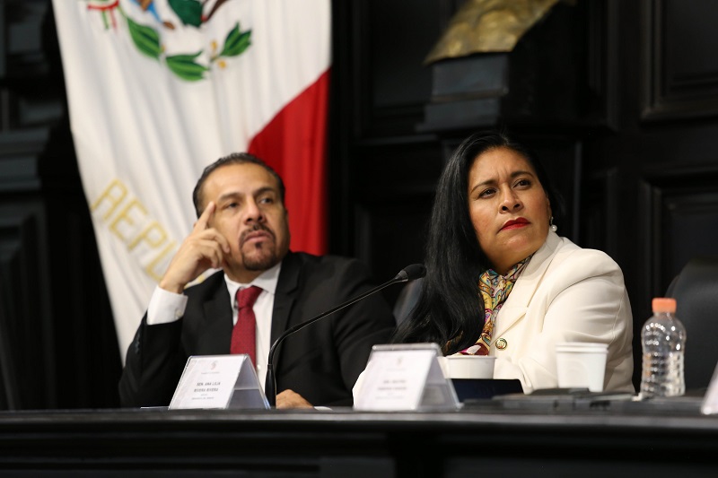 Llama Ana Lilia Rivera a construir leyes marco en AL, atender empleo informal y frenar migración